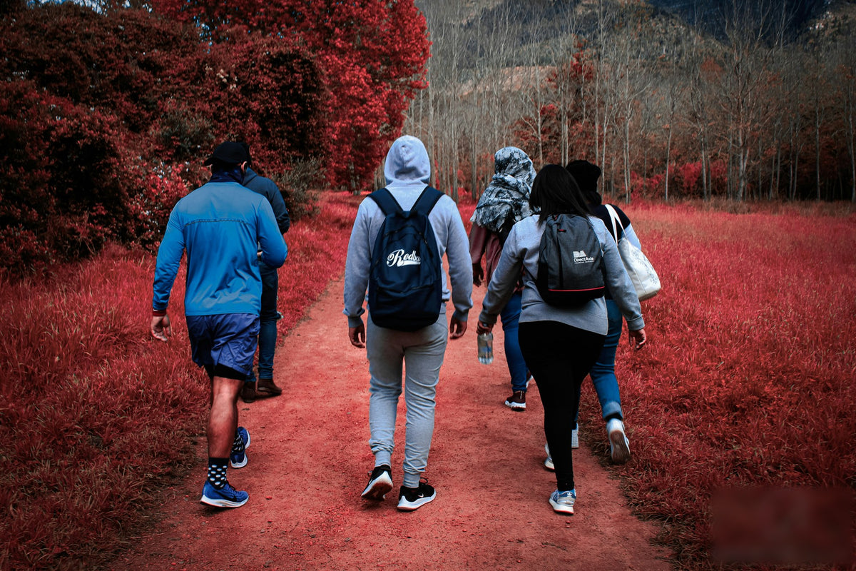 A group of friends walking together on a trail